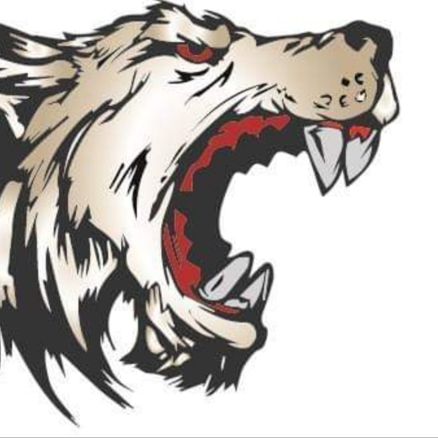 EC Sellraintal Wolves Logo